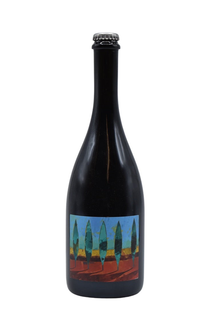 2020 Terrevive "No Autoclave" Lambrusco 750ml - Walker Wine Co.